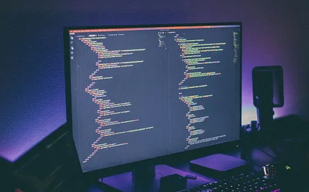 Custom Web Development